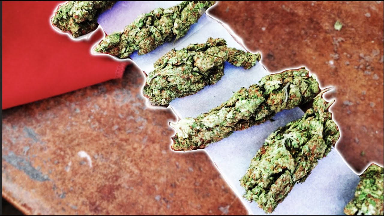 Making Rosin on the Oceanside | Coral Cove Resort, Jamaica