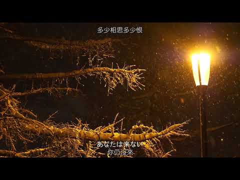 ❤♫ 雪が降る{降 雪} ♫❤ 中日文歌詞譯