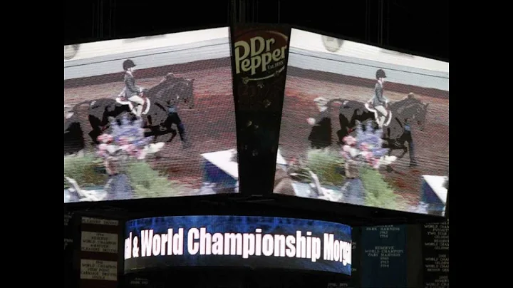 Katie Fulkerson 2011 Morgan Horse Accomplishment V...