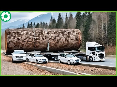 99 Extreme Dangerous Big Logging Wood Truck Driving Skill | Fastest Chainsaw Heavy Machinery Machine