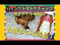 【415 for わんこ】マナー水容器には、ハインツトマトケチャップ逆さボトルが最高♪