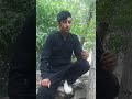 سه یوان کویستانی دیوه ر وه ر سه یوان کویستانی دیوه ر وه ر