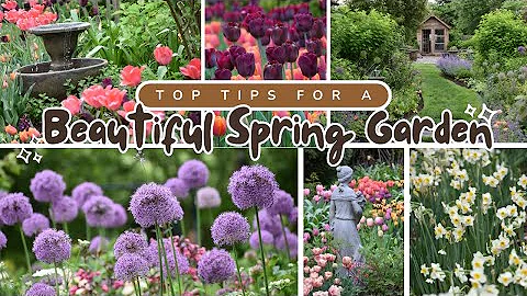 Top Tips for Planning & Planting a Beautiful Spring Flower Garden! thumbnail
