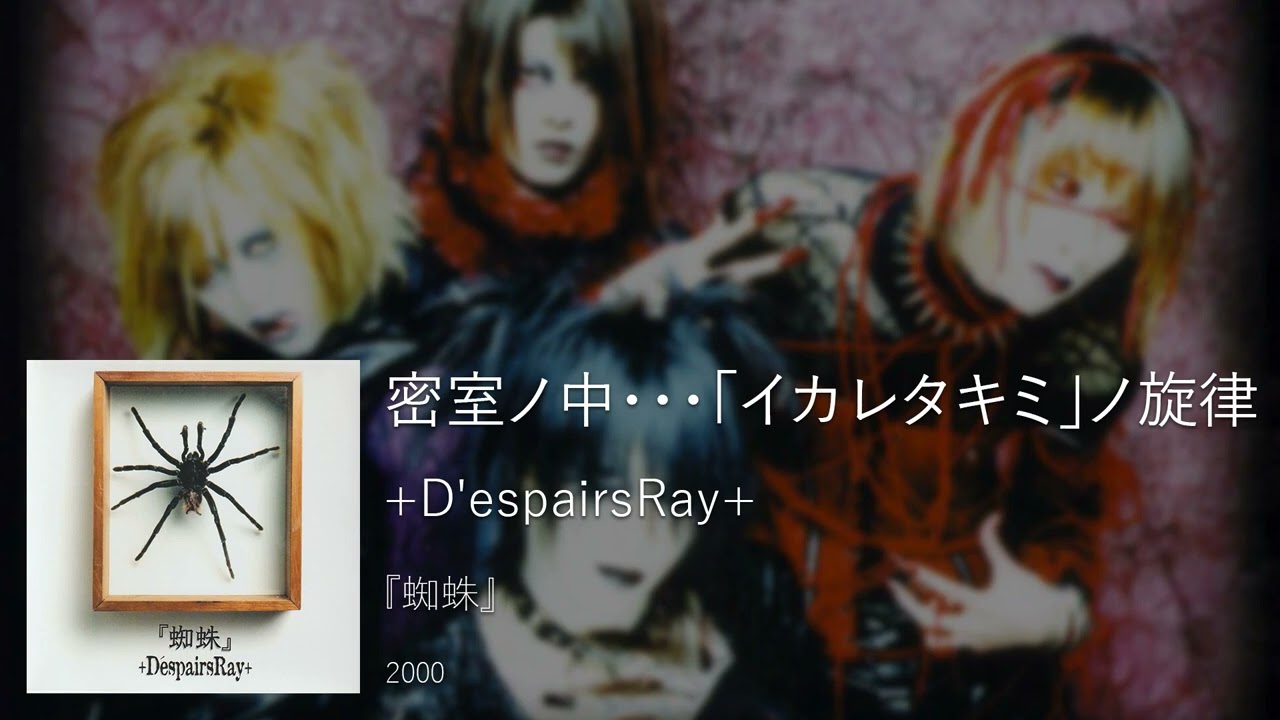 D'ESPAIRSRAY 蜘蛛 【公式通販】