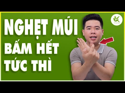 Video: Làm thế nào để chữa trị da ngứa của một con chó với sản phẩm nhà