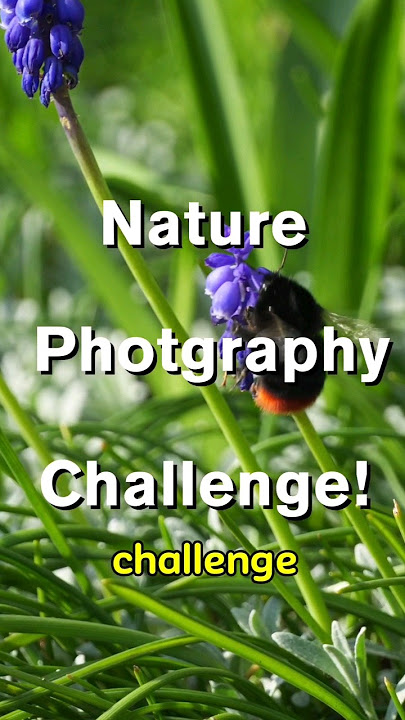 Family Photography Challenge - Nature Edition 🌳