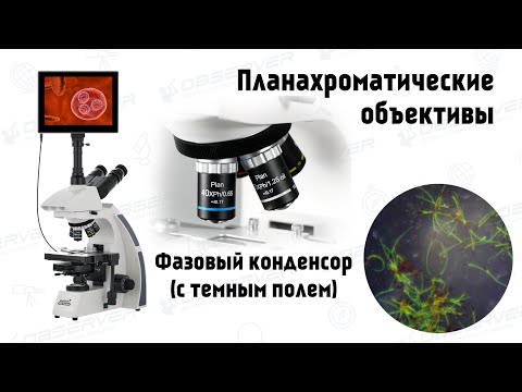 Video: Фаза-контрасттык микроскоп кайдан пайда болгон?