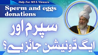 سپرم اور ایگ ڈونیشن جائز ہے؟ | Is sperm and egg donation legal in Islam?