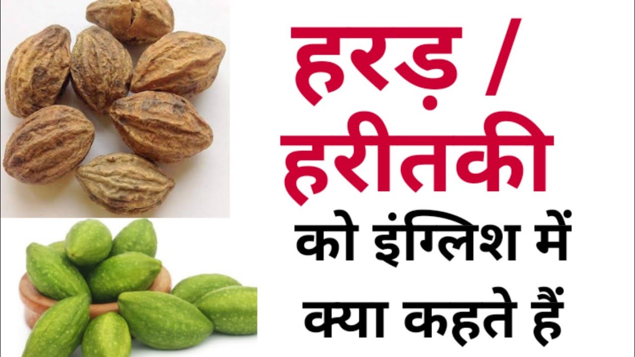 हरड़ को इंग्लिश में क्या कहते हैं | हरीतकी in इंग्लिश | Harad ko english mein kya kahate hain