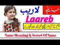 Laareb name meaning in urdu girl name  urdusy