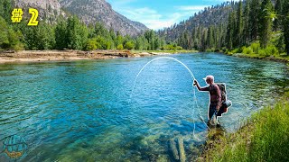 Fly Fishing, Hiking, and Camping in California! || California Gold Pt 2 (Kern River Rainbow)