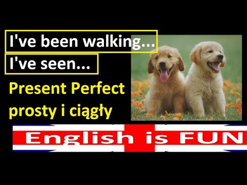 Ive been walking vs. Ive seen | Zobacz jak native speaker używa Present Perfect prosty i ciągły  @english-is-fun