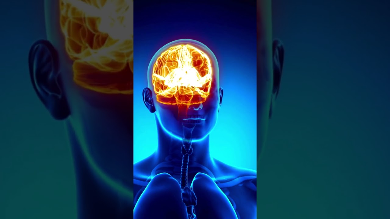 ⚡ Your Brain Can Power a Lightbulb!