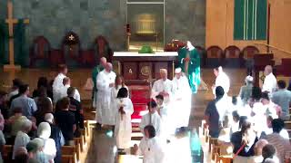 Sixteenth Sunday in Ordinary Time, 8:30 AM Mass, July 19, 2026