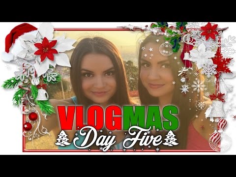 Christmas Decoration Shopping! | VLOGMAS 2016 | Day 5 | Baker Twins