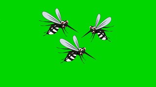 Mosquitos 🦟 Flying Animation Stock footage Green Screen video HD