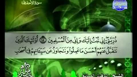 سورة الأحقاف كاملة الشيخ توفيق الصائغ