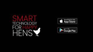 RUN-CHICKEN APP - A Must-Have Tool for any Chicken Enthusiast.