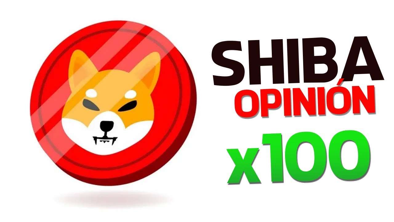 ¿QUÉ OPINO de SHIBA?