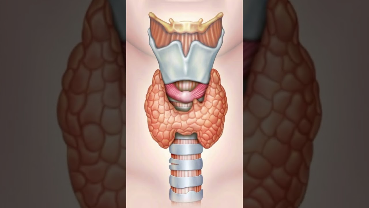 የመዝሙር ፳፮ /26 ሶስት አስደናቂ ተአምራት ተጠቀሙበት ይህ የአባቶቻችሁ ጥበብ ነውና