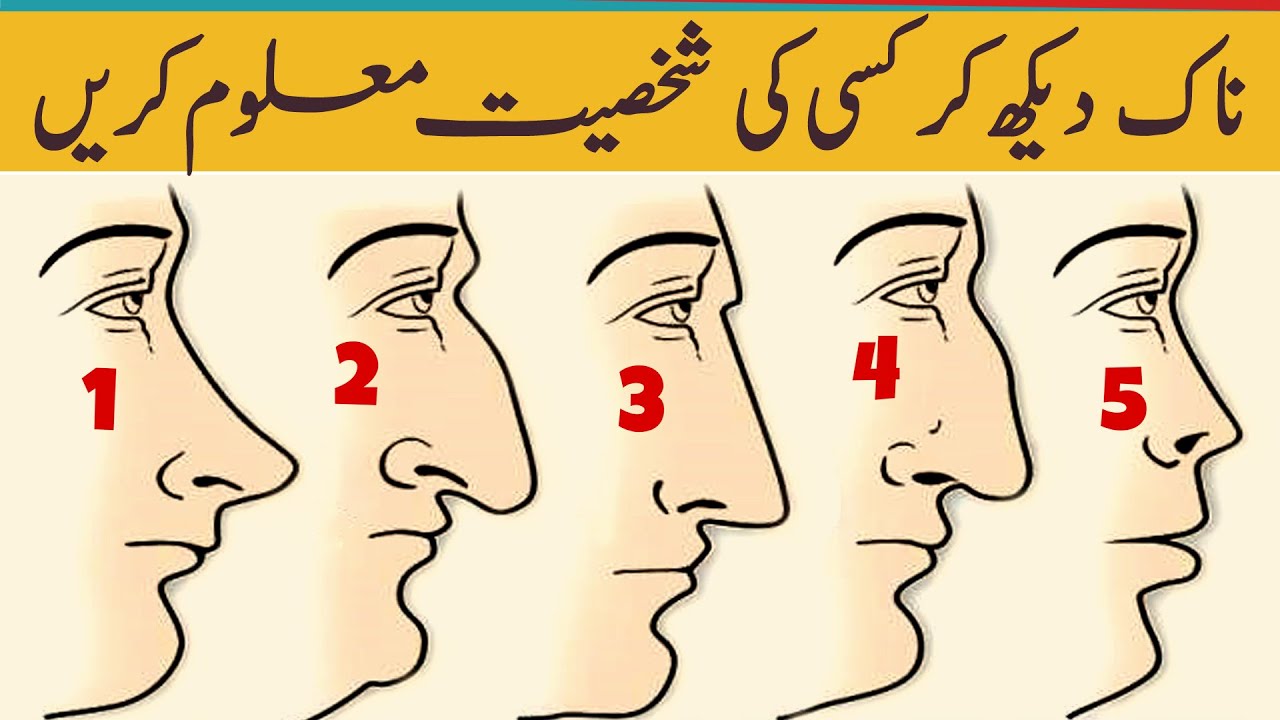 ناک آپکے بارے میں بہت کچھ بتاتی ہے || Personality Test