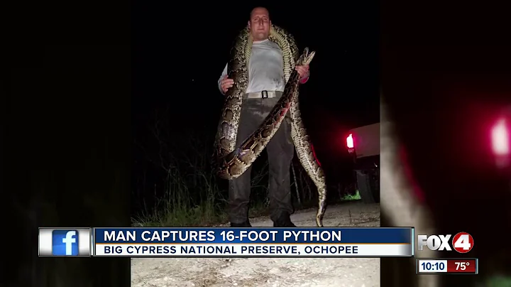 Man Captures 16-Foot-Python