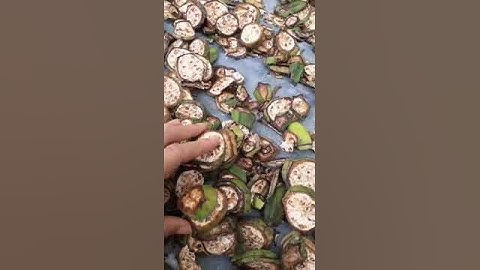 Cách điều trị bệnh sỏi thận bằng Chuối hột| Hằng Lê HG85 #shorts