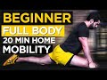 20 Minute Mobility Workout For Beginners | 20 MIN Beginner Mobility Home Workout