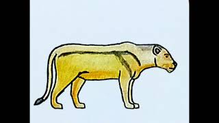 Beringian Cave Lion Panthera Leo Vereshchagini Sound Effects