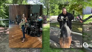 Between sound checks, famous musicians play with goats at Blossom Music Center