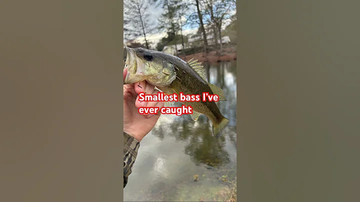 Go sub to @kyndallz7i