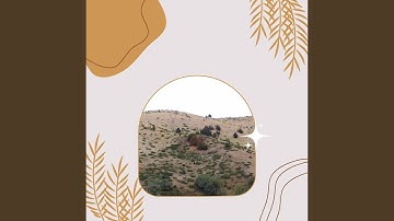 High-class Backdrops for Cold Winter Days