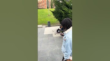 Thumbnail of Birds Gather Around Guitarist || ViralHog