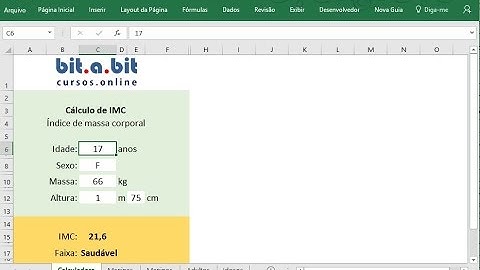 Calcule o IMC de crianças, jovens, adultos e idosos no Excel