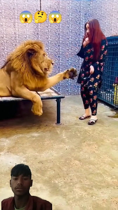 Miya bhai 👿 #lion #mian #tiger #attitude #animals #funny #remix #music #song 😱
