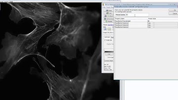 Setting Up Your QImaging wLS Light Source in Micro-Manager