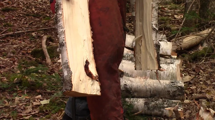 119 Trail Update and Processing a Birch