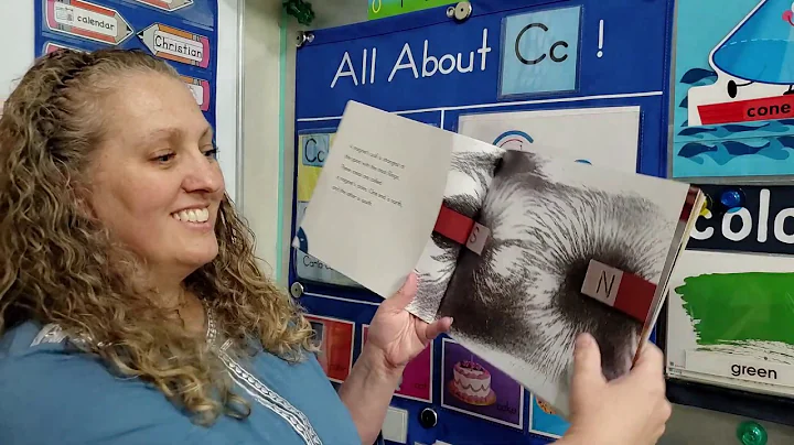 Magnets   Book 2   A Look at Magnets by Barbara Al...