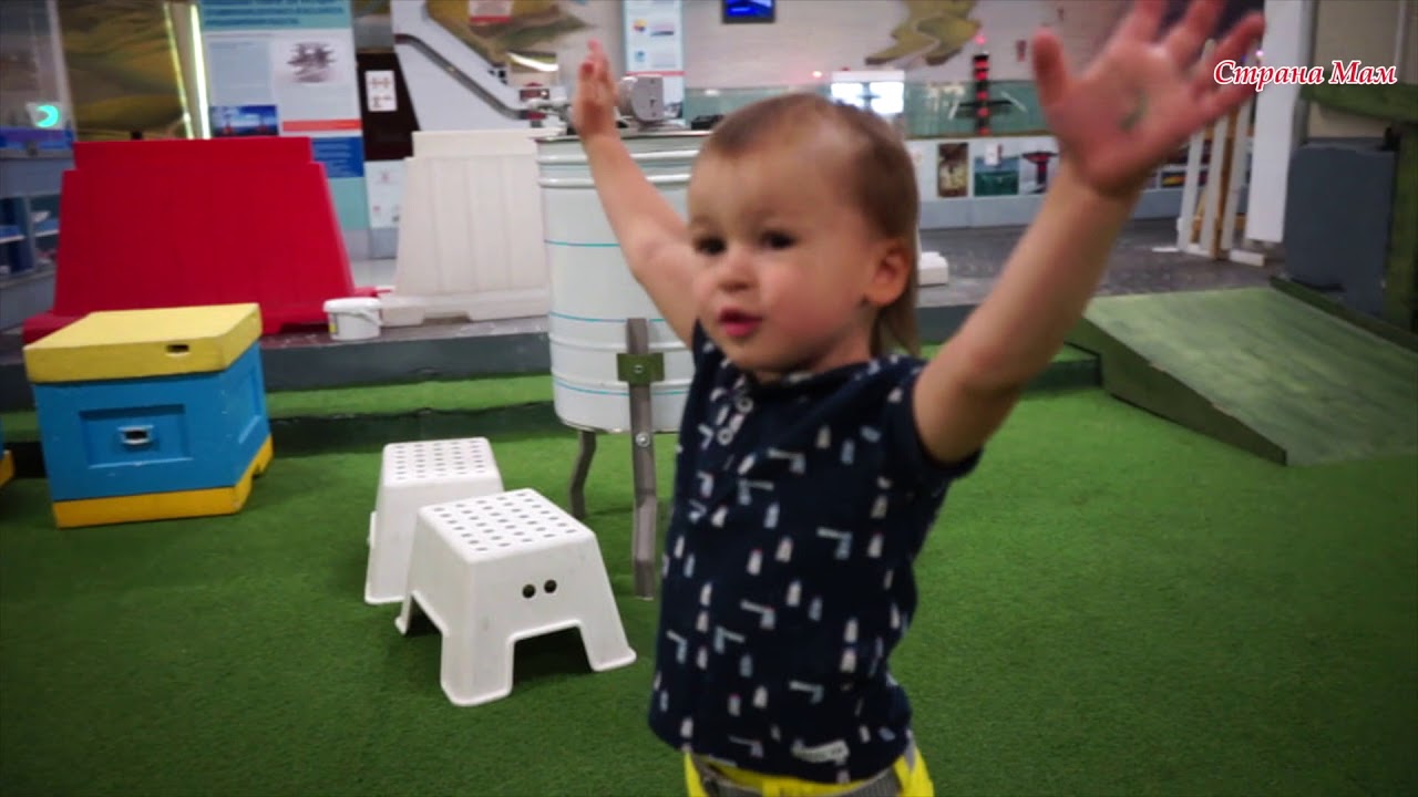 Совместные игры для детей разного возраста – «Елки бывают разными»