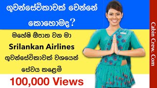 Srilankan Airlines cabin crew| ලංකාවේ එයාහොස්ටස් කෙනෙක් වෙන්නේ කොහොමද ?