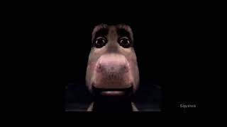 Donkey stare