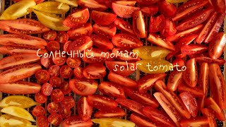 Солнечный томат \ Sunny tomato. Вяленые помидоры в домашних условиях.