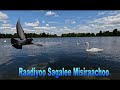 Qayyabannaa Macaafa Qulqulluu Seera Ba Uu 35 1 72ffaa Qayyabannaa Macaafa Qulqulluu Seera Ba Uu 35 1 72ffaa