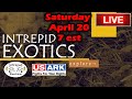 Saturday Night Livestream