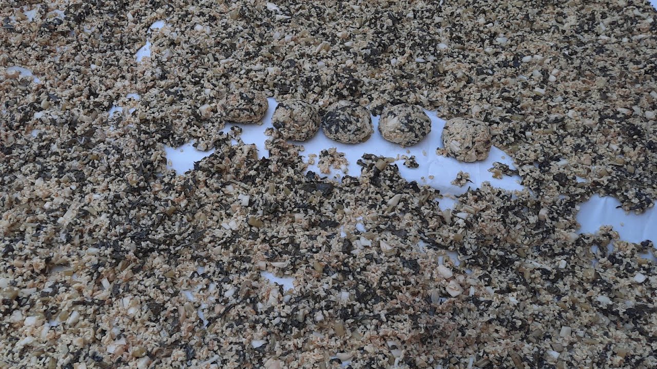 ئامادەکردنی شێلم وواتا تەڕەساز