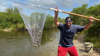 Scooping Up SHRIMP in a ROADSIDE DITCH (CATCH AND COOK)