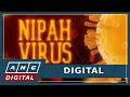 Nipah virus: What you need to know as cases emerge in India | ANC