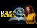 Esta Inteligencia Artificial LEE y ENTIENDE papers científicos complejos