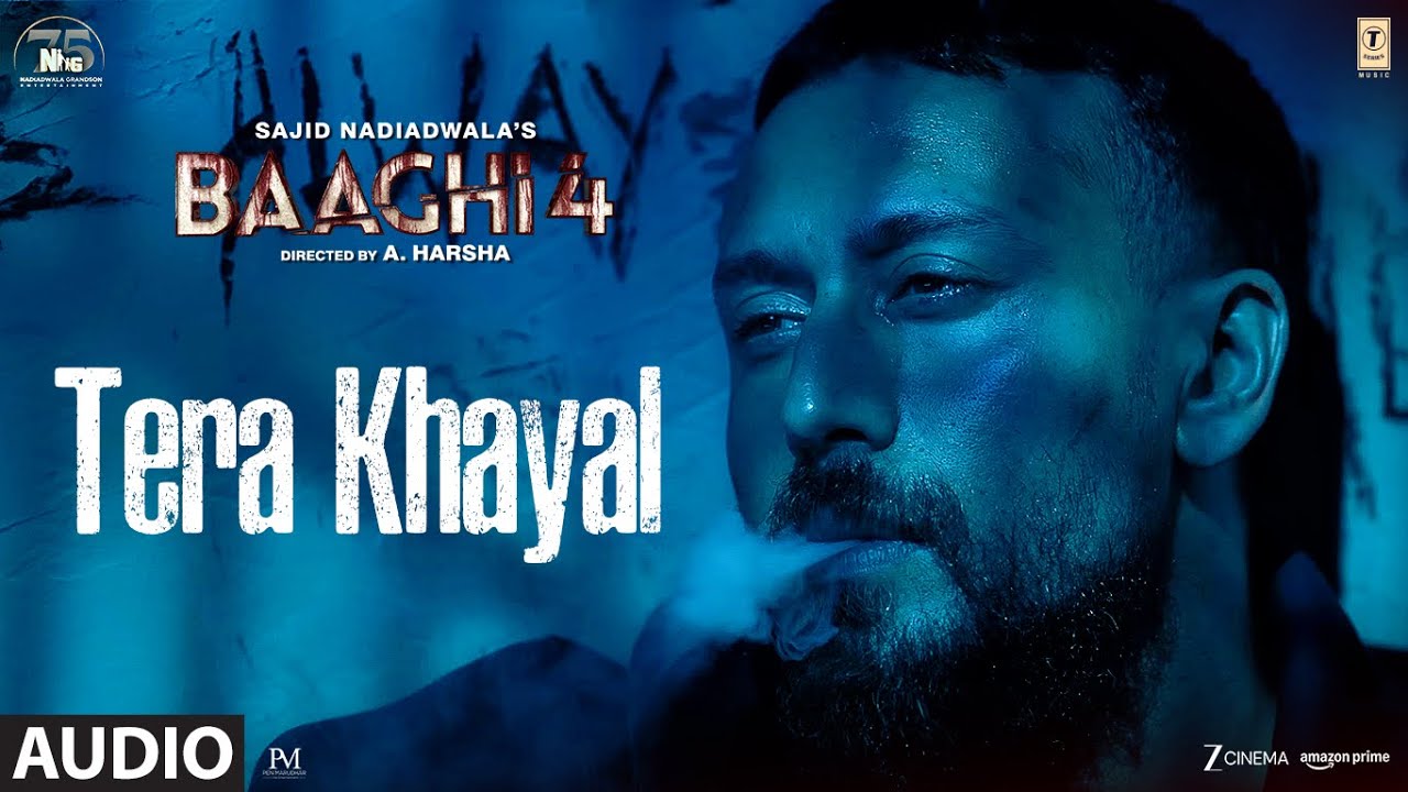 Baaghi 4 (Full Audio)