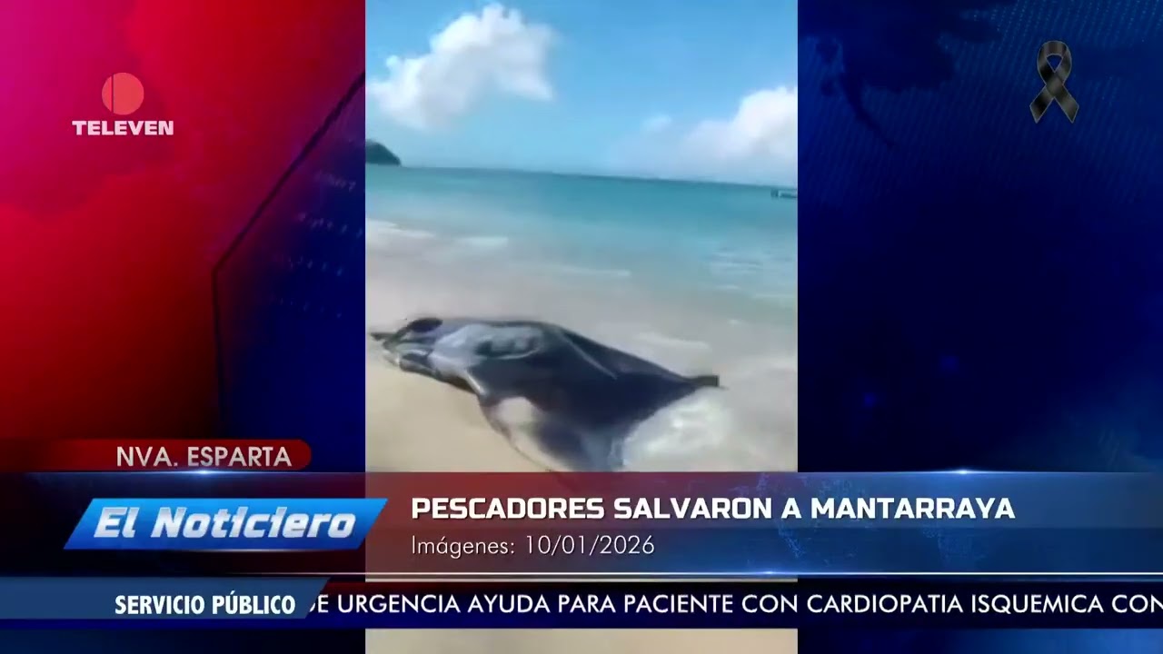 Pescadores salvaron una mantarraya en Margarita - El Noticiero emisión meridiana 12/01/26